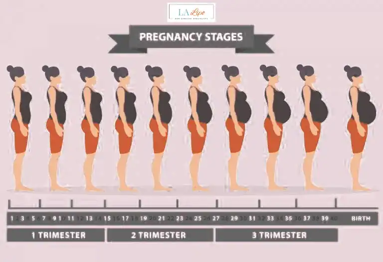 First Trimester (Weeks 1–12): Early Changes You Might Not Notice Greenford